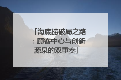 海底捞破局之路：顾客中心与创新源泉的双重奏