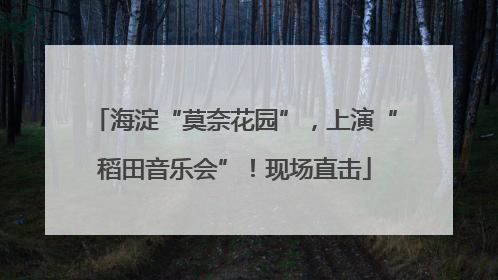 海淀“莫奈花园”，上演“稻田音乐会”！现场直击