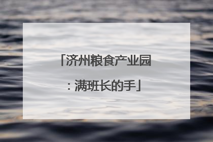 济州粮食产业园：满班长的手