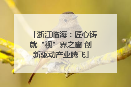 浙江临海：匠心铸就“视”界之窗 创新驱动产业腾飞