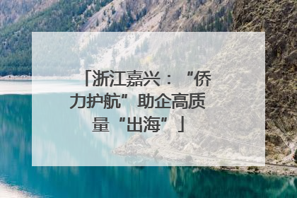 浙江嘉兴：“侨力护航”助企高质量“出海”