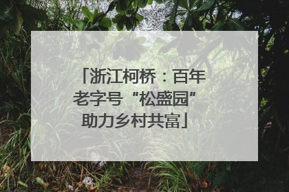 浙江柯桥：百年老字号“松盛园”助力乡村共富