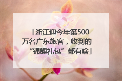 浙江迎今年第500万名广东旅客，收到的“锦鲤礼包”都有啥