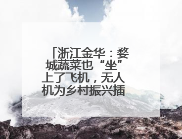 浙江金华：婺城蔬菜也“坐”上了飞机，无人机为乡村振兴插上“翅膀”