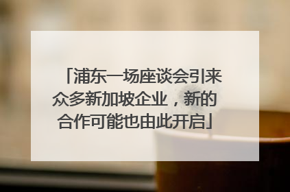 浦东一场座谈会引来众多新加坡企业，新的合作可能也由此开启