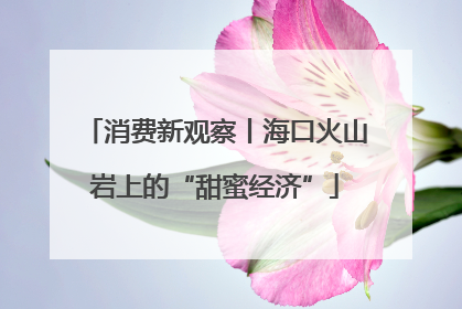 消费新观察丨海口火山岩上的“甜蜜经济”