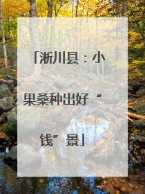 淅川县：小果桑种出好“钱”景