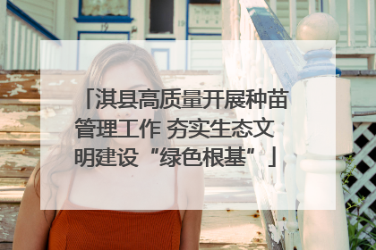 淇县高质量开展种苗管理工作 夯实生态文明建设“绿色根基”