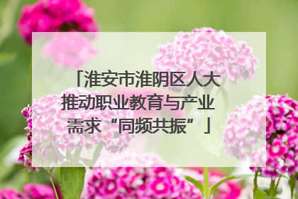 淮安市淮阴区人大推动职业教育与产业需求“同频共振”