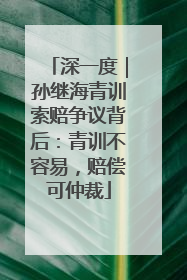 深一度｜孙继海青训索赔争议背后：青训不容易，赔偿可仲裁