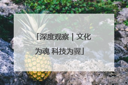 深度观察｜文化为魂 科技为翼