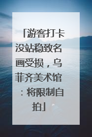 游客打卡没站稳致名画受损，乌菲齐美术馆：将限制自拍