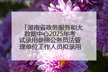 湖南省政务服务和大数据中心2025年考试录用参照公务员法管理单位工作人员拟录用人员名单公示