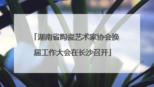 湖南省陶瓷艺术家协会换届工作大会在长沙召开