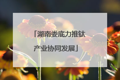 湖南娄底力推钛产业协同发展