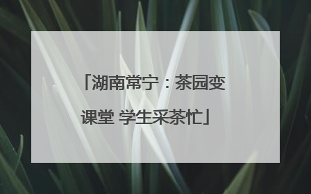 湖南常宁：茶园变课堂 学生采茶忙