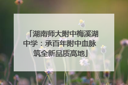 湖南师大附中梅溪湖中学：承百年附中血脉 筑全新品质高地