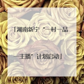 湖南新宁“一村一品一主播”计划启动