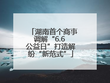 湖南首个商事调解“6.6 公益日”打造解纷“新范式”