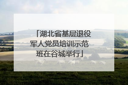 湖北省基层退役军人党员培训示范班在谷城举行