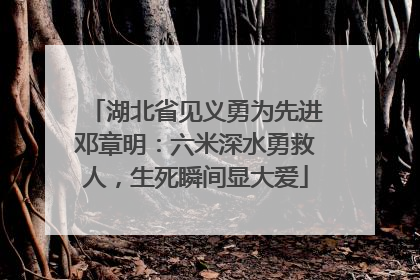 湖北省见义勇为先进邓章明：六米深水勇救人，生死瞬间显大爱