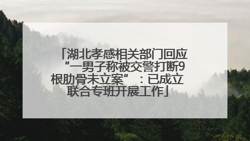 湖北孝感相关部门回应“一男子称被交警打断9根肋骨未立案”：已成立联合专班开展工作