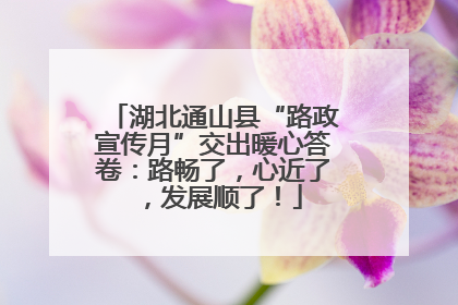 湖北通山县“路政宣传月”交出暖心答卷：路畅了，心近了，发展顺了！