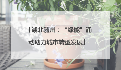 湖北随州：“绿能”涌动助力城市转型发展