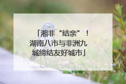 湘非“结亲”！湖南八市与非洲九城缔结友好城市