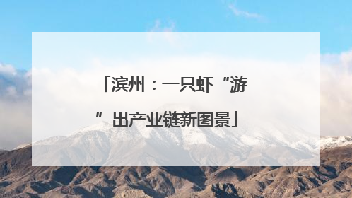 滨州：一只虾“游”出产业链新图景