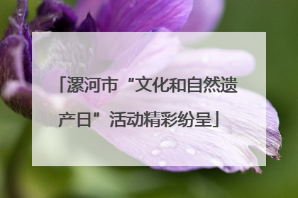漯河市“文化和自然遗产日”活动精彩纷呈