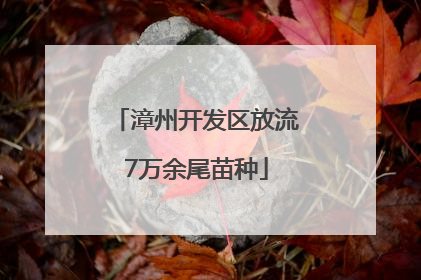 漳州开发区放流7万余尾苗种