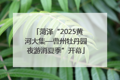 菏泽“2025黄河大集—曹州牡丹园夜游消夏季”开幕
