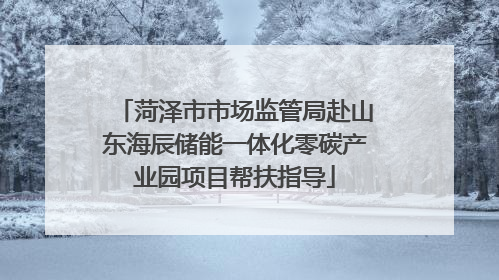 菏泽市市场监管局赴山东海辰储能一体化零碳产业园项目帮扶指导