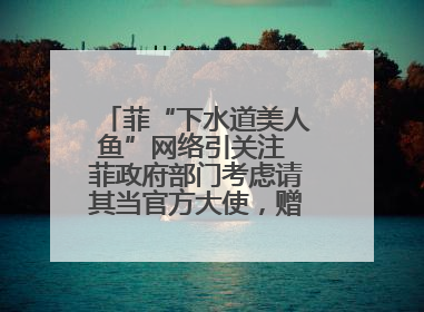 菲“下水道美人鱼”网络引关注 菲政府部门考虑请其当官方大使，赠现金开店