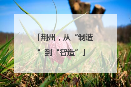 荆州，从“制造”到“智造”