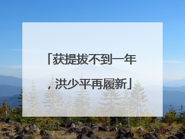 获提拔不到一年，洪少平再履新