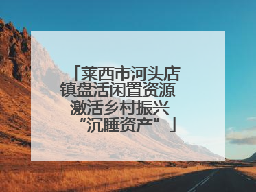 莱西市河头店镇盘活闲置资源 激活乡村振兴“沉睡资产”