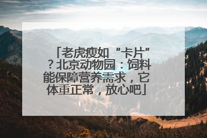老虎瘦如“卡片”？北京动物园：饲料能保障营养需求，它体重正常，放心吧