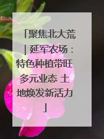 聚焦北大荒｜延军农场：特色种植带旺多元业态 土地焕发新活力