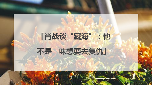 肖战谈“藏海”：他不是一味想要去复仇