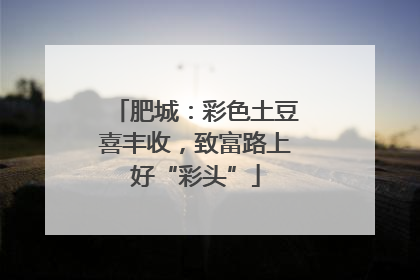 肥城：彩色土豆喜丰收，致富路上好“彩头”