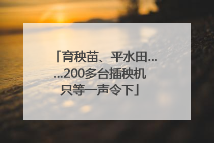 育秧苗、平水田……200多台插秧机只等一声令下