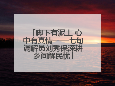 脚下有泥土 心中有真情——七旬调解员刘秀保深耕乡间解民忧