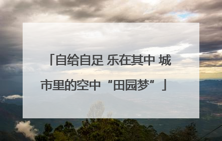自给自足 乐在其中 城市里的空中“田园梦”