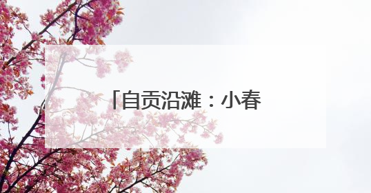 自贡沿滩：小春收获新突破 总产量近3.5万吨
