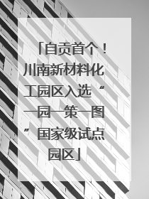 自贡首个！川南新材料化工园区入选“一园一策一图”国家级试点园区