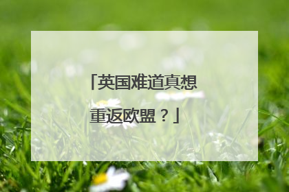 英国难道真想重返欧盟？