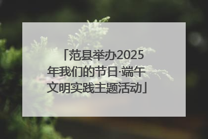 范县举办2025年我们的节日·端午文明实践主题活动