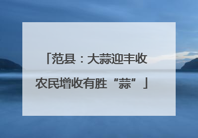 范县：大蒜迎丰收 农民增收有胜“蒜”